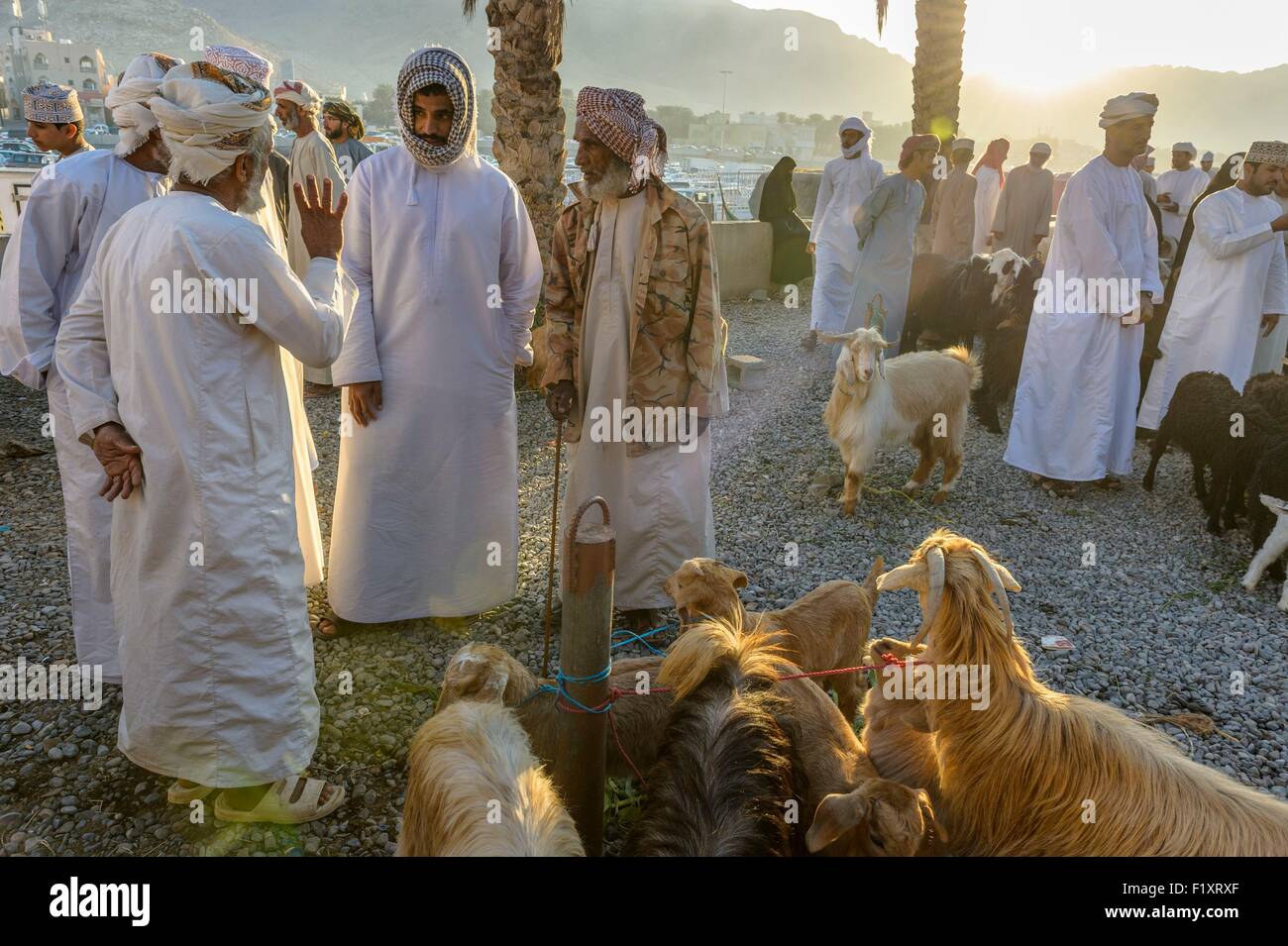 Il sultanato di Oman, gouvernorate di Ad-Dakhiliyah, Nizwa, il venerdì il mercato del bestiame Foto Stock