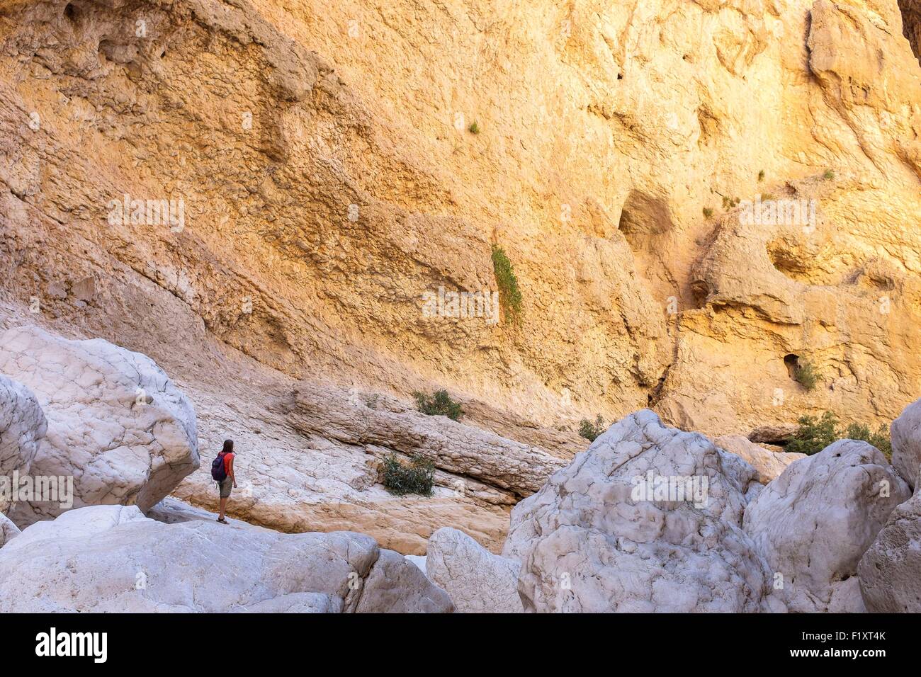 Il sultanato di Oman, gouvernorate di cenere Sharqiyah, escursionismo a Wadi Bani Khalid Foto Stock