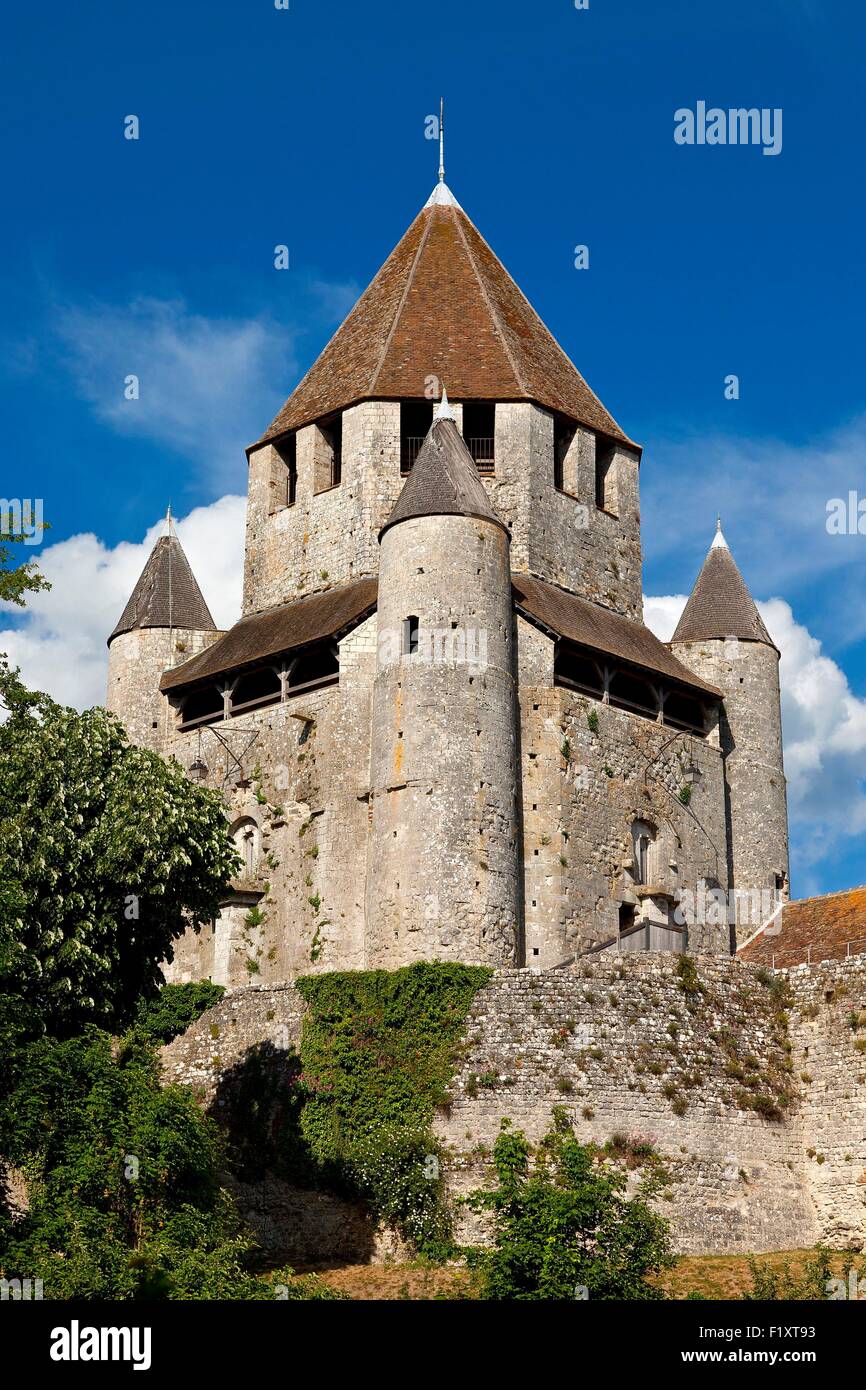 Francia, Seine et Marne, Provins, classificato come patrimonio mondiale dall UNESCO, Tour Cesar (Caesar's Tower) Foto Stock