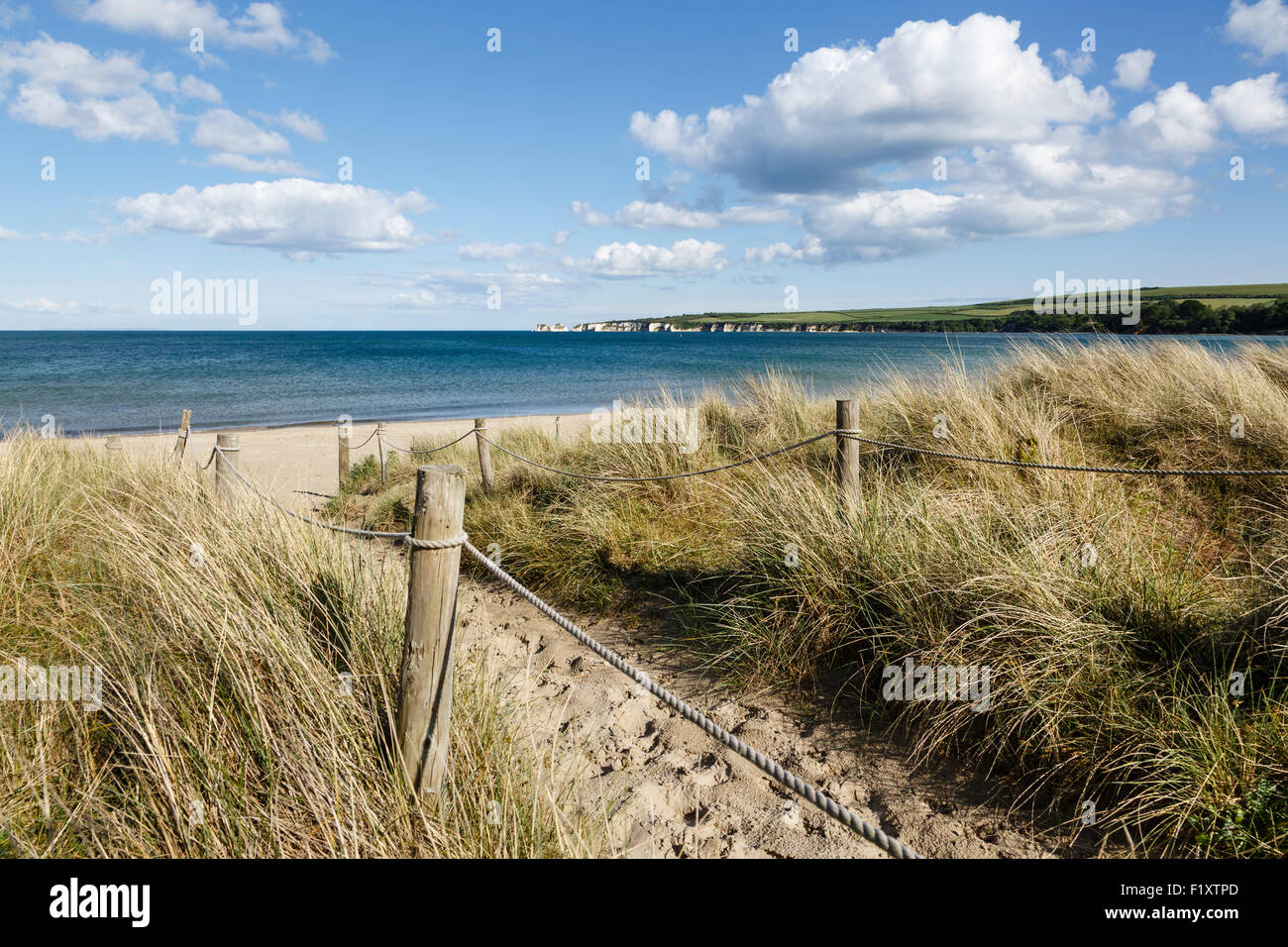 Studland Beach e vista verso la Old Harry Rocks, Isle of Purbeck, Dorset Foto Stock