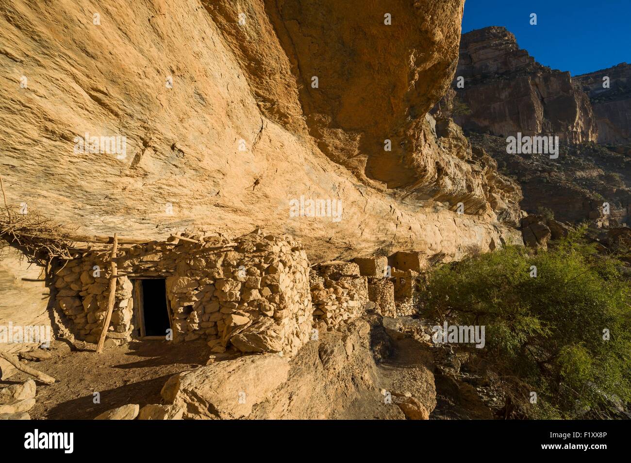 Oman, Djebel Shams, Oman Grand Canyon, Al Nakhr cliff, come brs abbandonato insediamenti rupestri Foto Stock