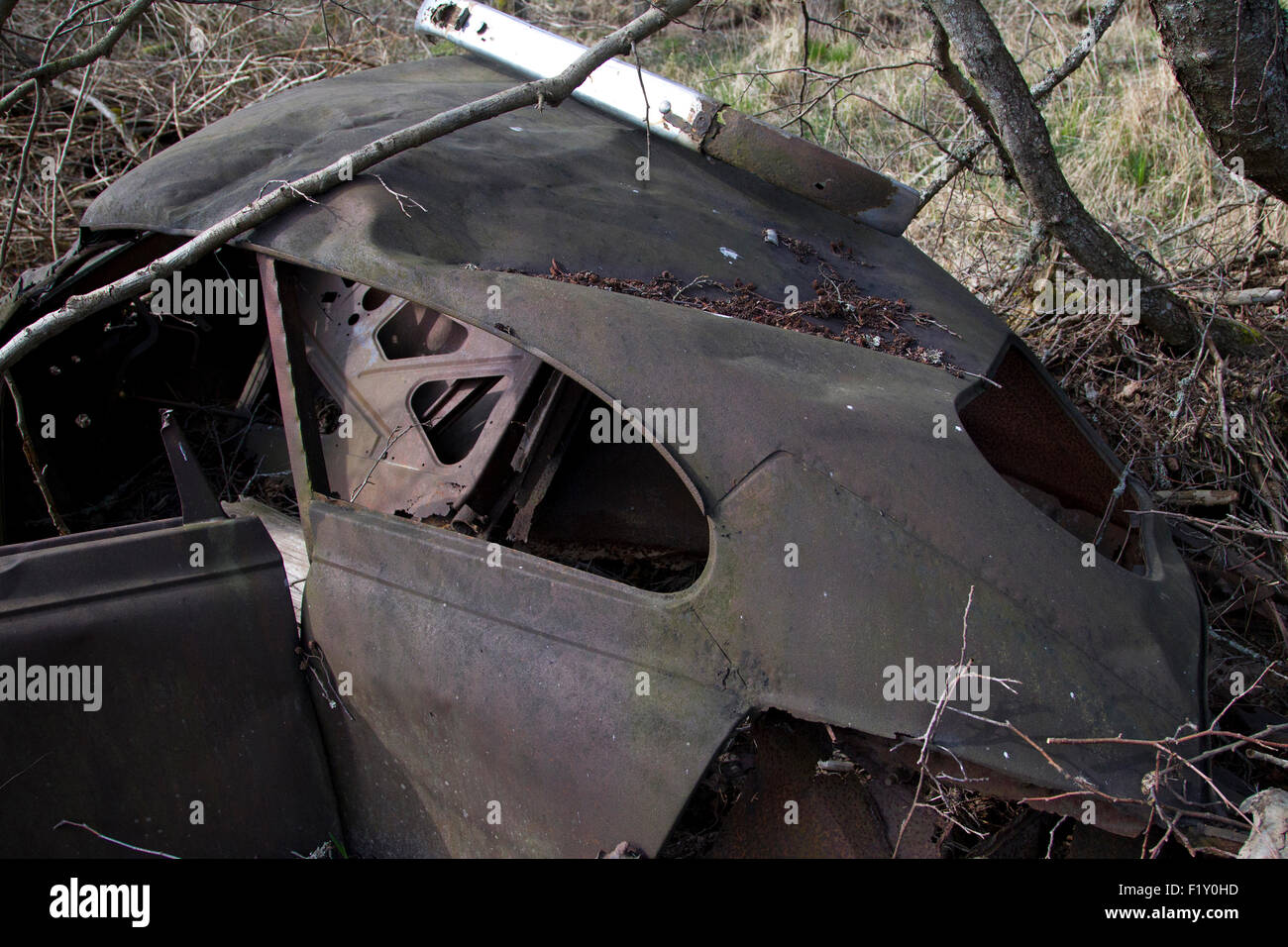 Rusty vecchia auto nascosti nei boschi Foto Stock