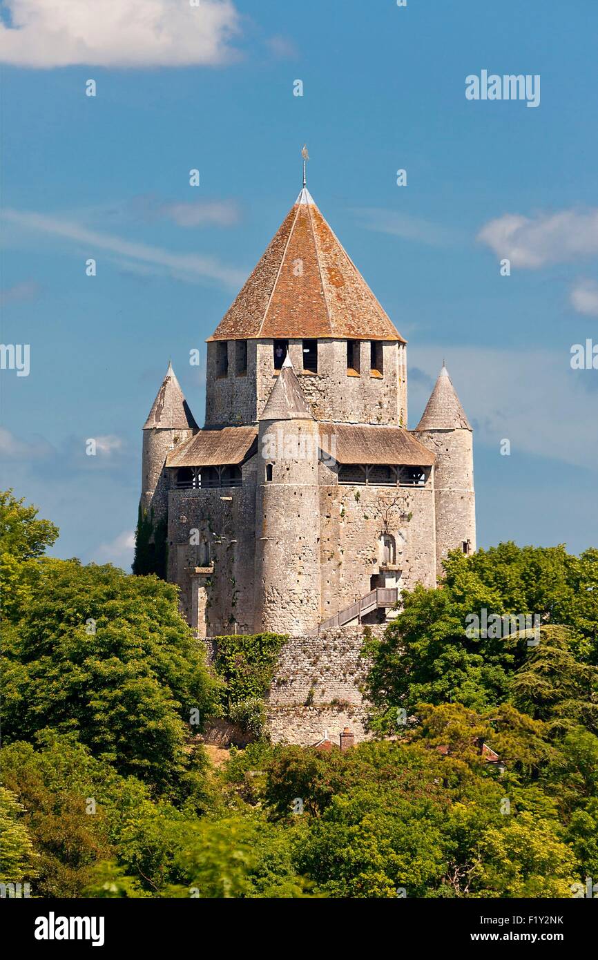 Francia, Seine et Marne, Provins, classificato come patrimonio mondiale dall UNESCO, Tour Cesar (Caesar's Tower) Foto Stock