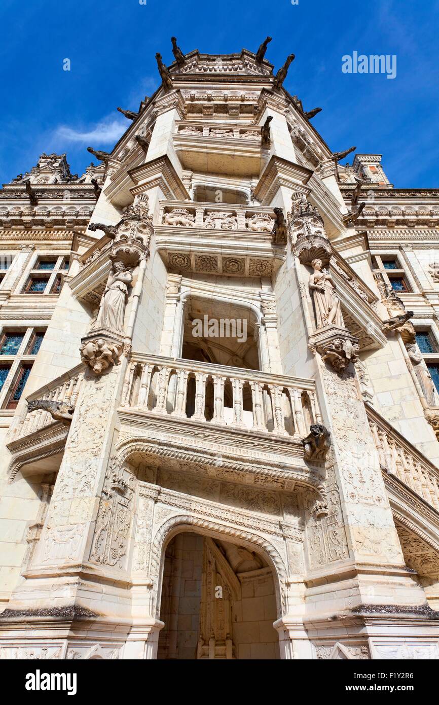 Francia, Loir et Cher, Valle della Loira sono classificati come patrimonio mondiale dall'UNESCO, il Castello Reale di Blois Foto Stock
