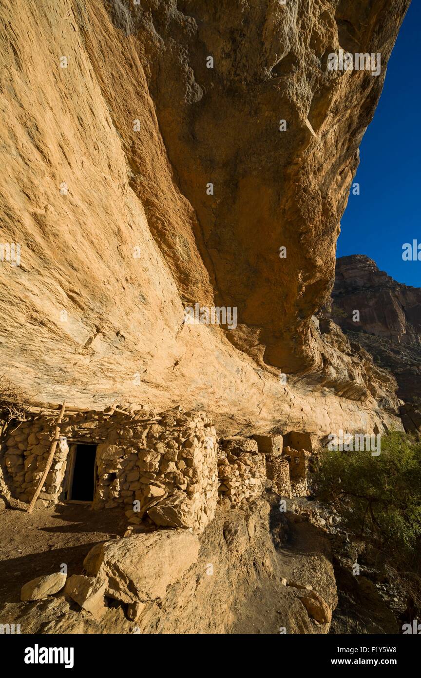 Oman, Djebel Shams, Oman Grand Canyon, Al Nakhr cliff, come brs abbandonato insediamenti rupestri Foto Stock