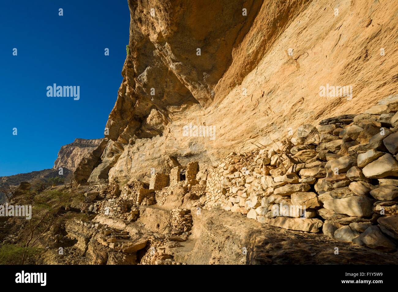 Oman, Djebel Shams, Oman Grand Canyon, Al Nakhr cliff, come brs abbandonato insediamenti rupestri Foto Stock