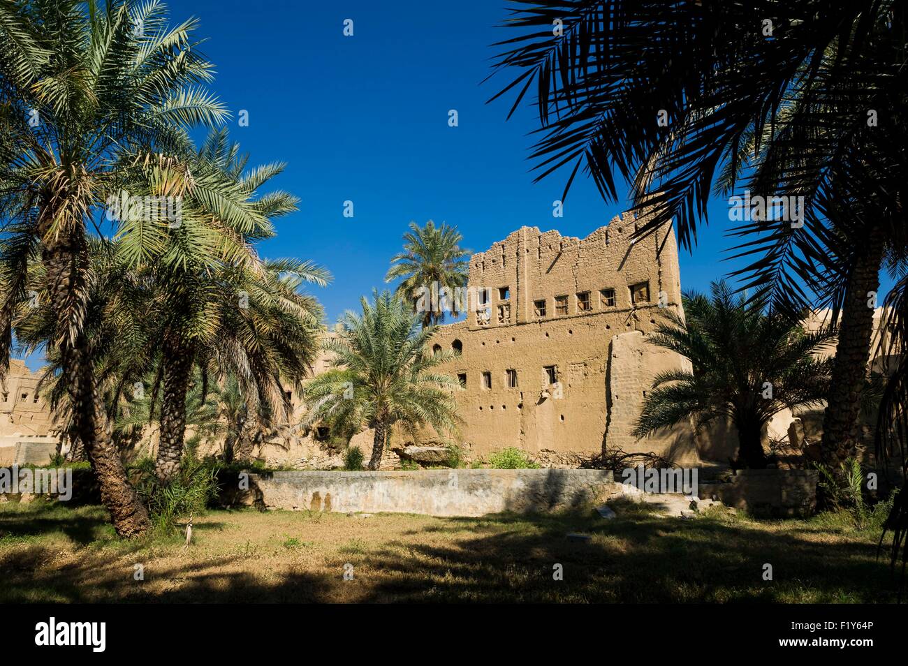 Oman, Djebel Shams, Al Hamra, abandonned antico villaggio e il suo Palm grove Foto Stock