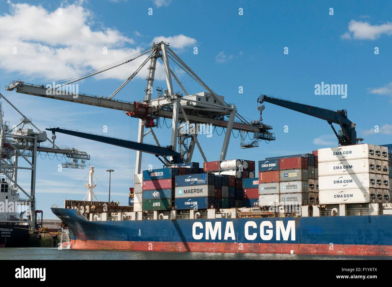 Francia, Seine Maritime, Le Havre porto commerciale, contenitore CGA CGM Fort Sainte Marie Foto Stock