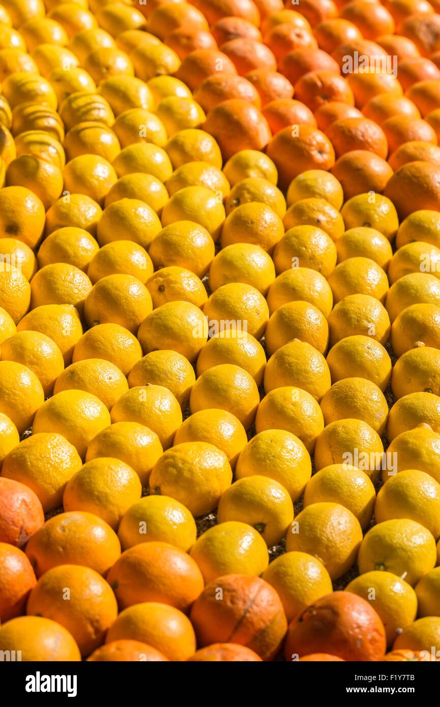 Francia, Alpes Maritimes, Menton, ottantaduesima Sagra del limone sul tema delle tribolazioni di un limone in Cina organizzata dall'Ufficio del turismo in giardini Bioves Foto Stock