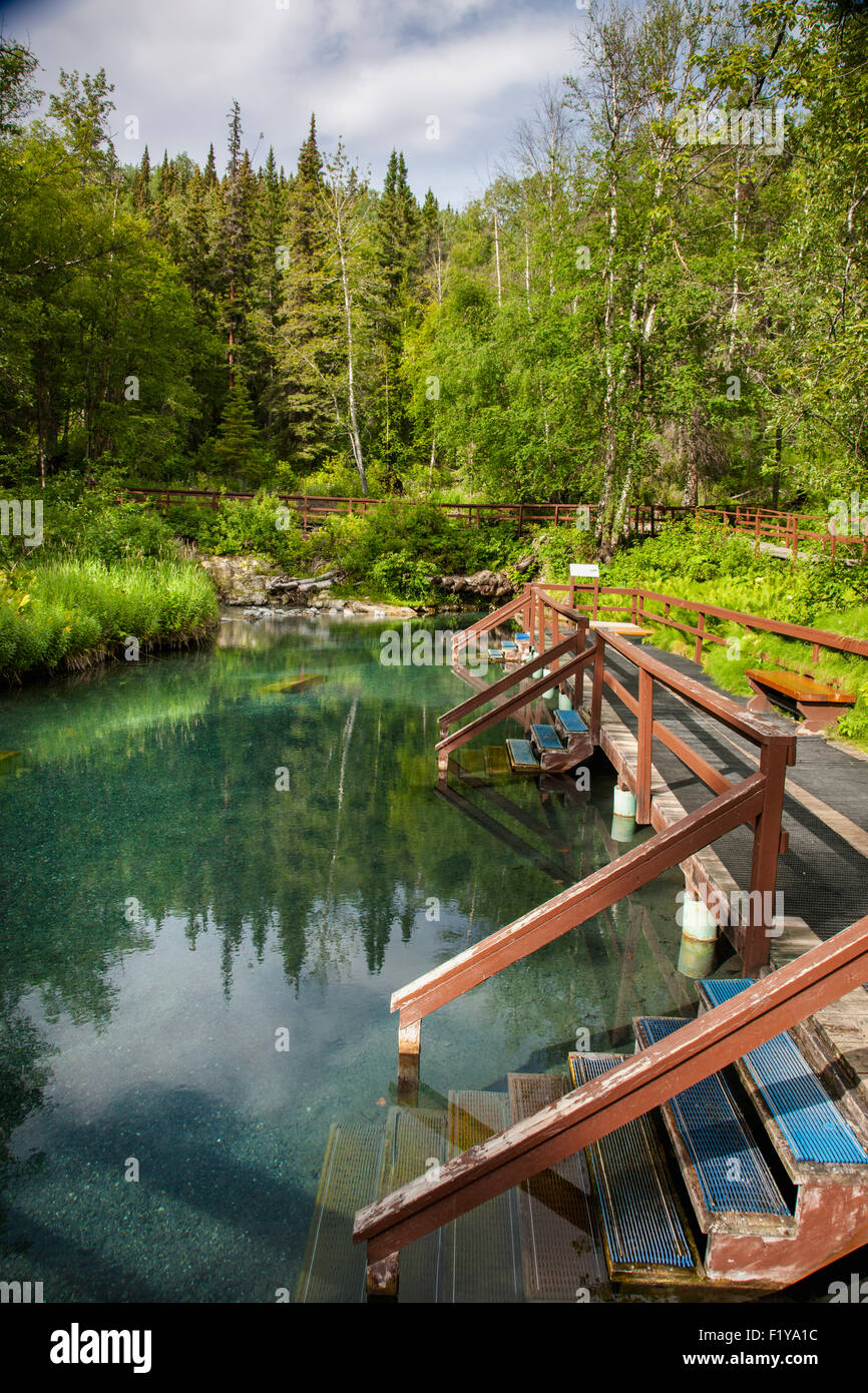 Canada,Scenic,Fiume Liard Hot Springs Foto Stock