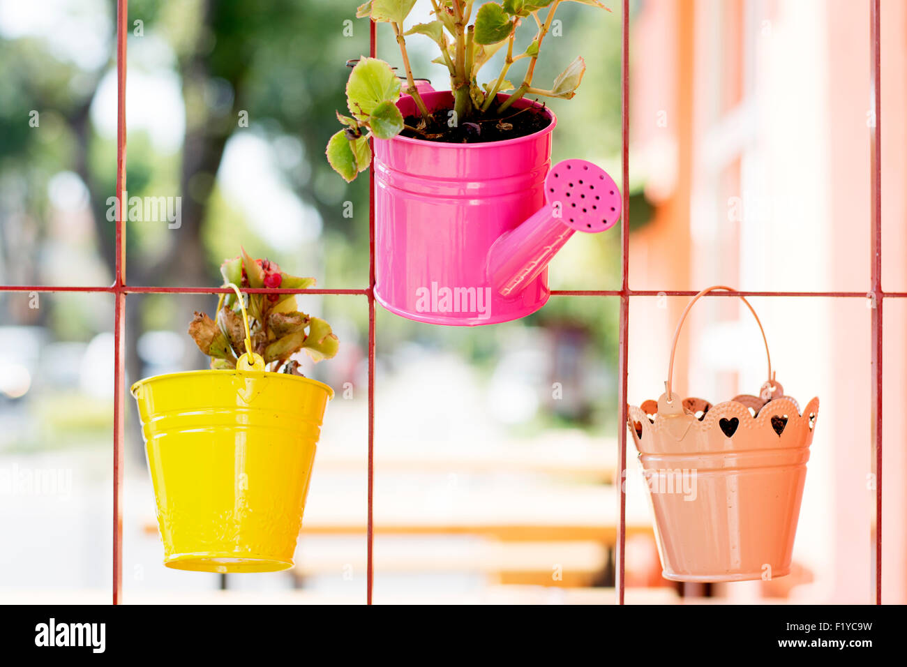 Bella idea colorati per piccoli vasi di fiori nel giardino di casa dove non  vi è ampio spazio per la crescita di specie diverse Foto stock - Alamy