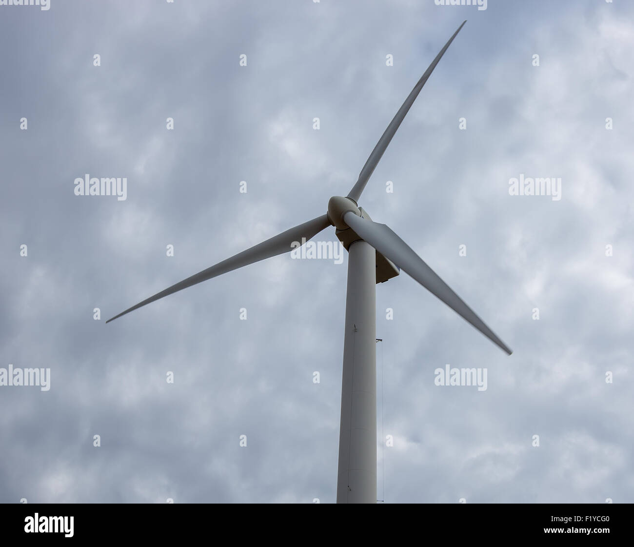Mulini a vento in mostra presso la American Wind Power Center e il Museo a Lubbock, Texas. Foto Stock