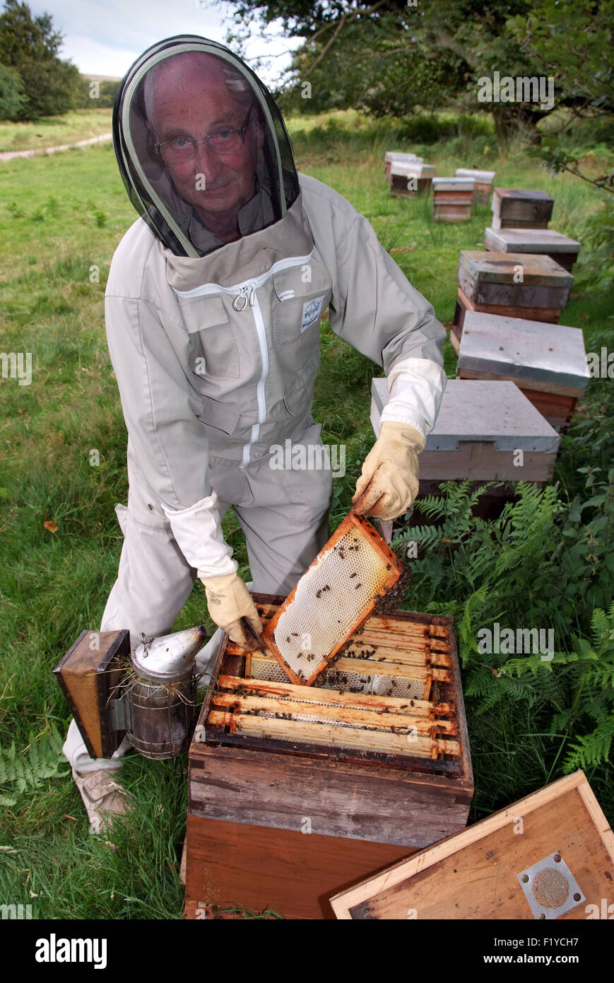 Welsh apicoltore les chirnside di skirrid Honey Farm, dove egli tende la sua api e alveari e produce miele in vendita. un regno unito Foto Stock