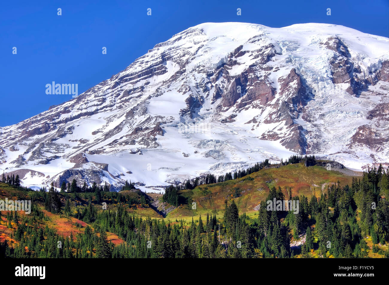 Close-up di Mt. Rainier su una limpida giornata autunnale. Foto Stock