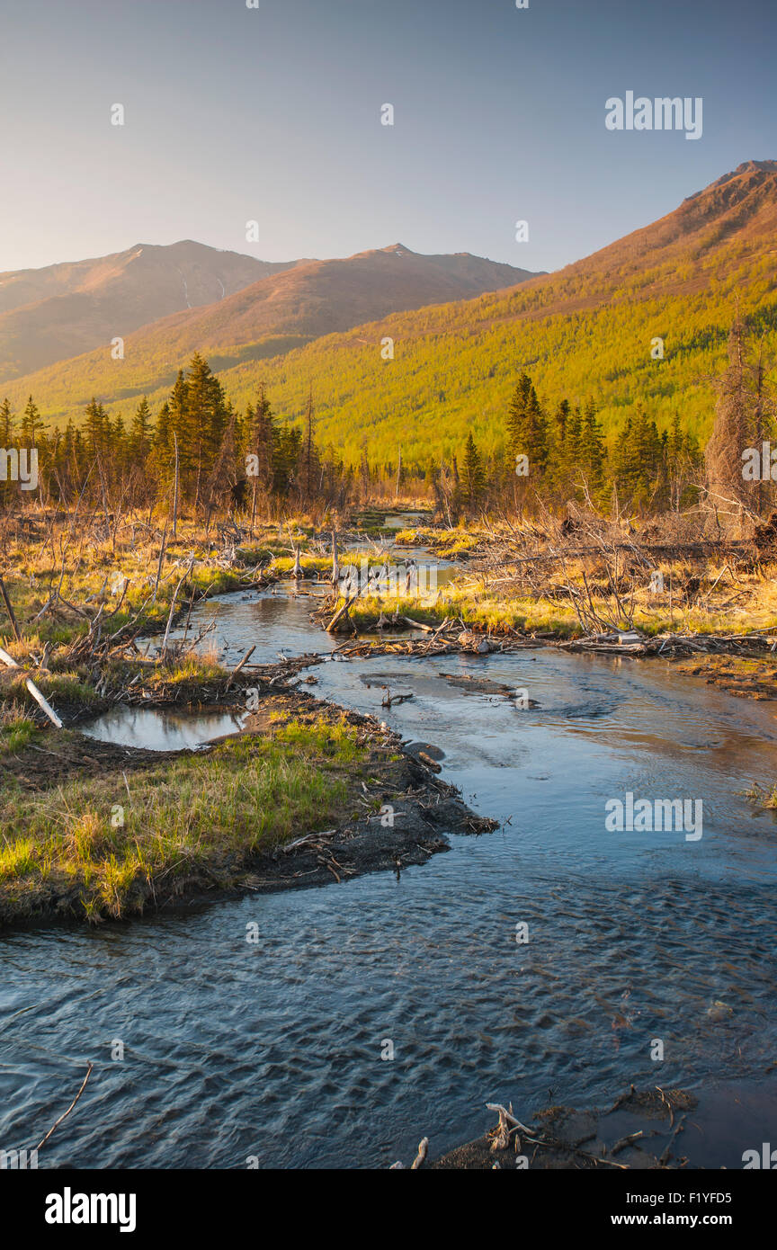 Pond,Alaska,Chugach,Scenic,Eagle River Valley Foto Stock