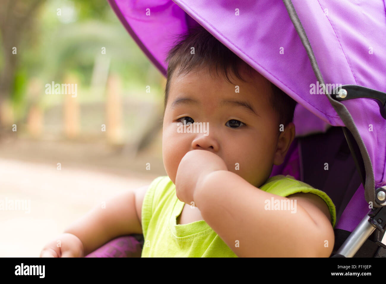 Un ragazzo asiatico godendo di un estate passeggino ride. Foto Stock