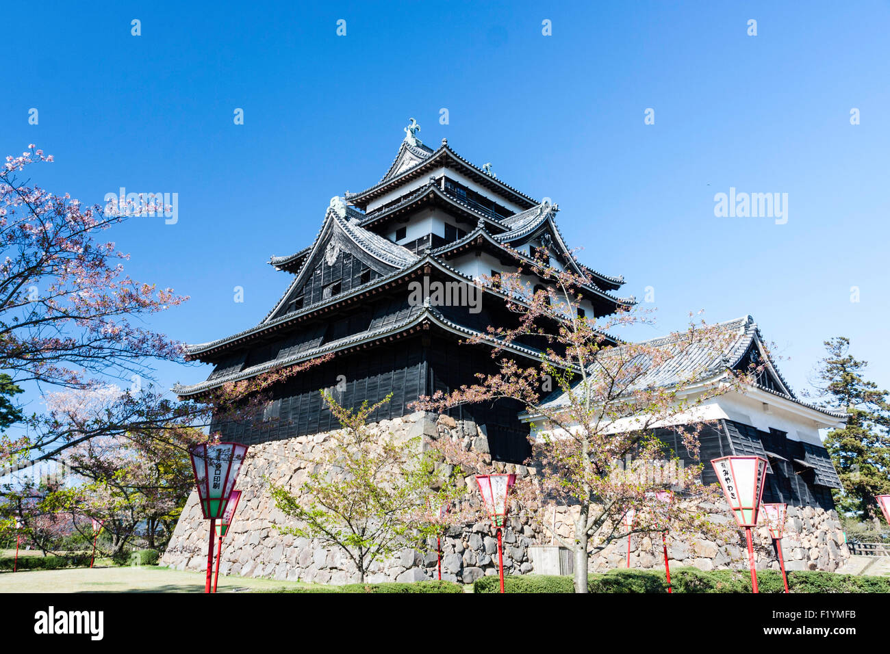 Giappone, Matsue Castello, AKA chidori-jo. Il stile borogata in bianco e nero di mantenere, tenshu, sotto il cielo limpido in primavera. Foto Stock
