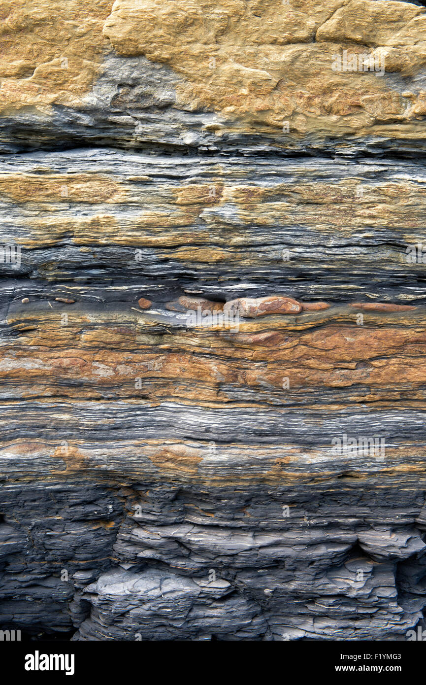 Rocce carbonifero a Scremerston, Berwick Upon Tweed, Northumberland, Inghilterra Foto Stock