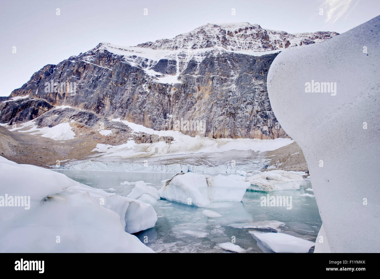 Canada,Angel Glacier,il Monte Edith Cavell,Unesco Foto Stock