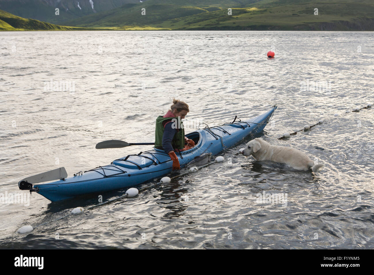 Kayak,Dog,Unimak Island,la pesca di sussistenza Foto Stock