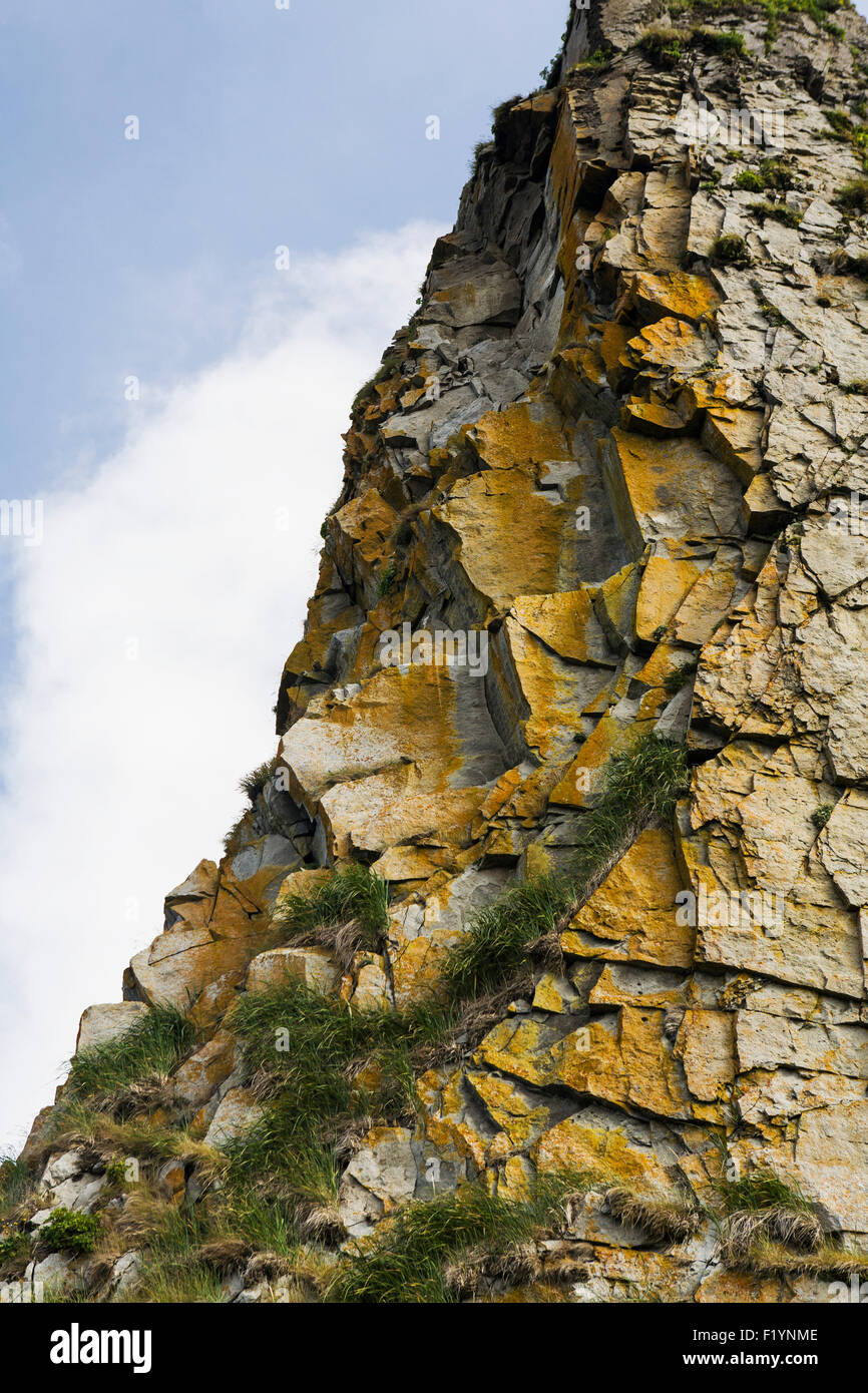 Isola Unimak,Rock,Cliff,Dettaglio Foto Stock