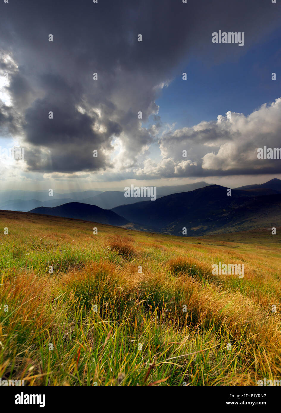 Montagna Collina nel giorno di estate Foto Stock