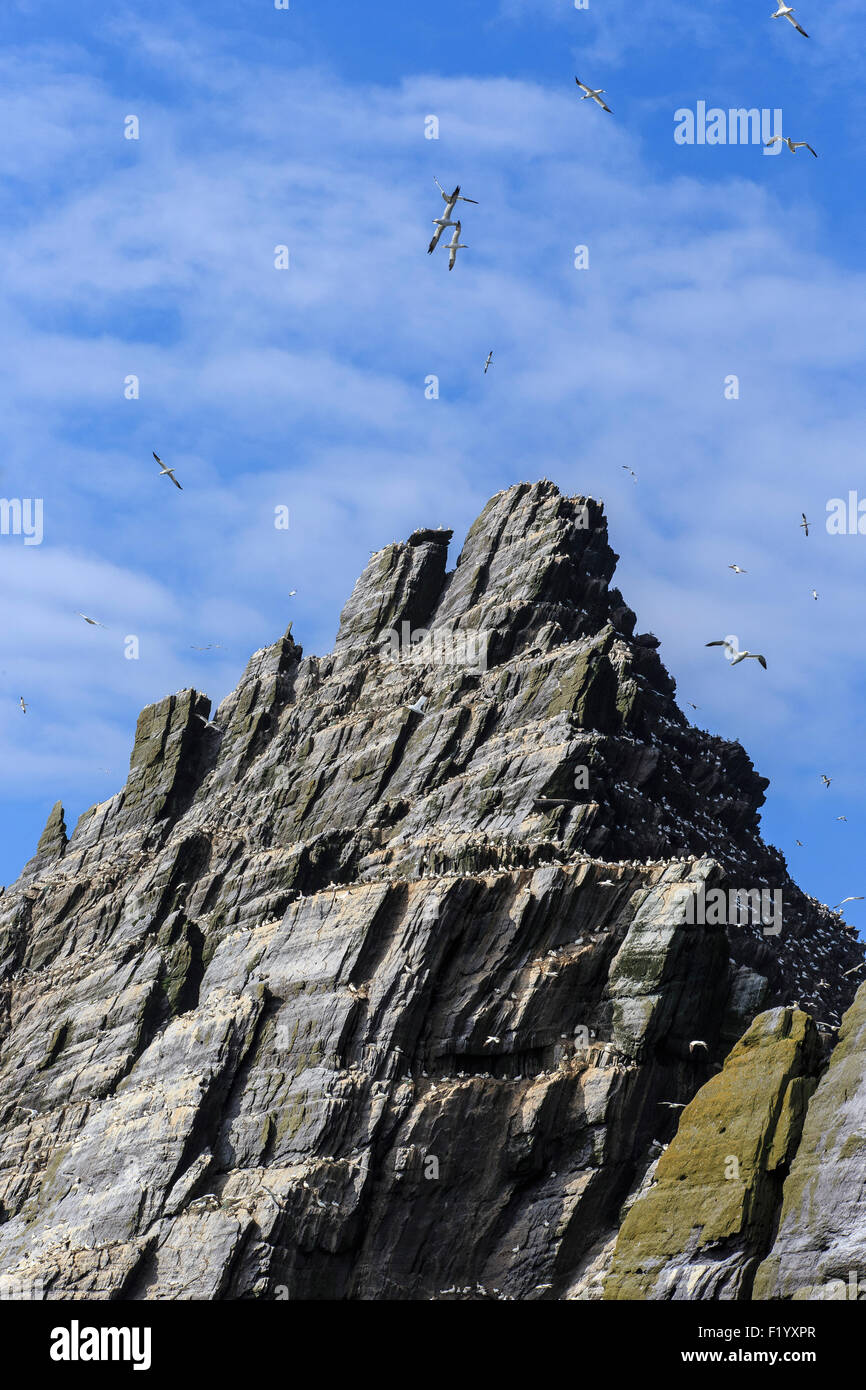 Skellig Michael isola dell' Irlanda Foto Stock