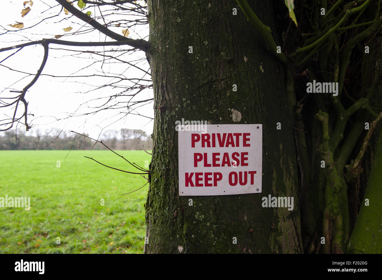 'Privato si prega di tenere fuori' firmare in rosso su bianco inchiodato ad un albero accanto a un campo erboso. Il Dorset, Inghilterra. Foto Stock