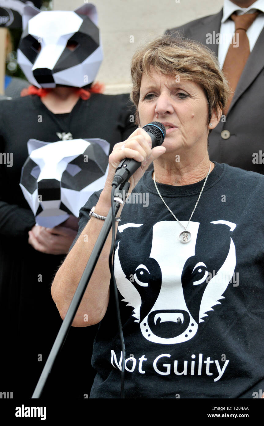 Pauline Kidner, autore e co-fondatore di mondo segreto Wildlife Rescue, parlando alla protesta contro la mancanza di Badger Cull P Foto Stock