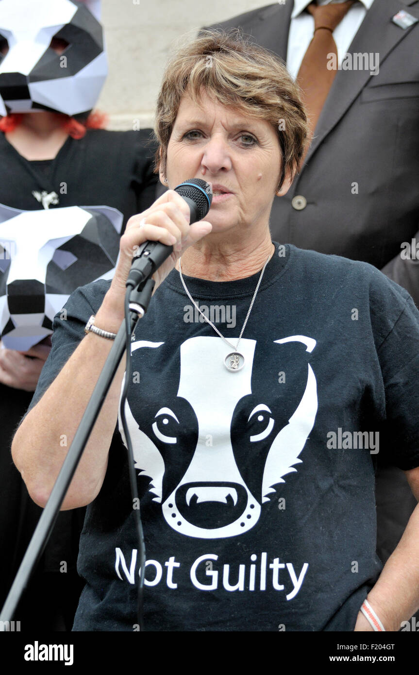 Pauline Kidner, autore e co-fondatore di mondo segreto Wildlife Rescue, parlando alla protesta contro la mancanza di Badger Cull Foto Stock