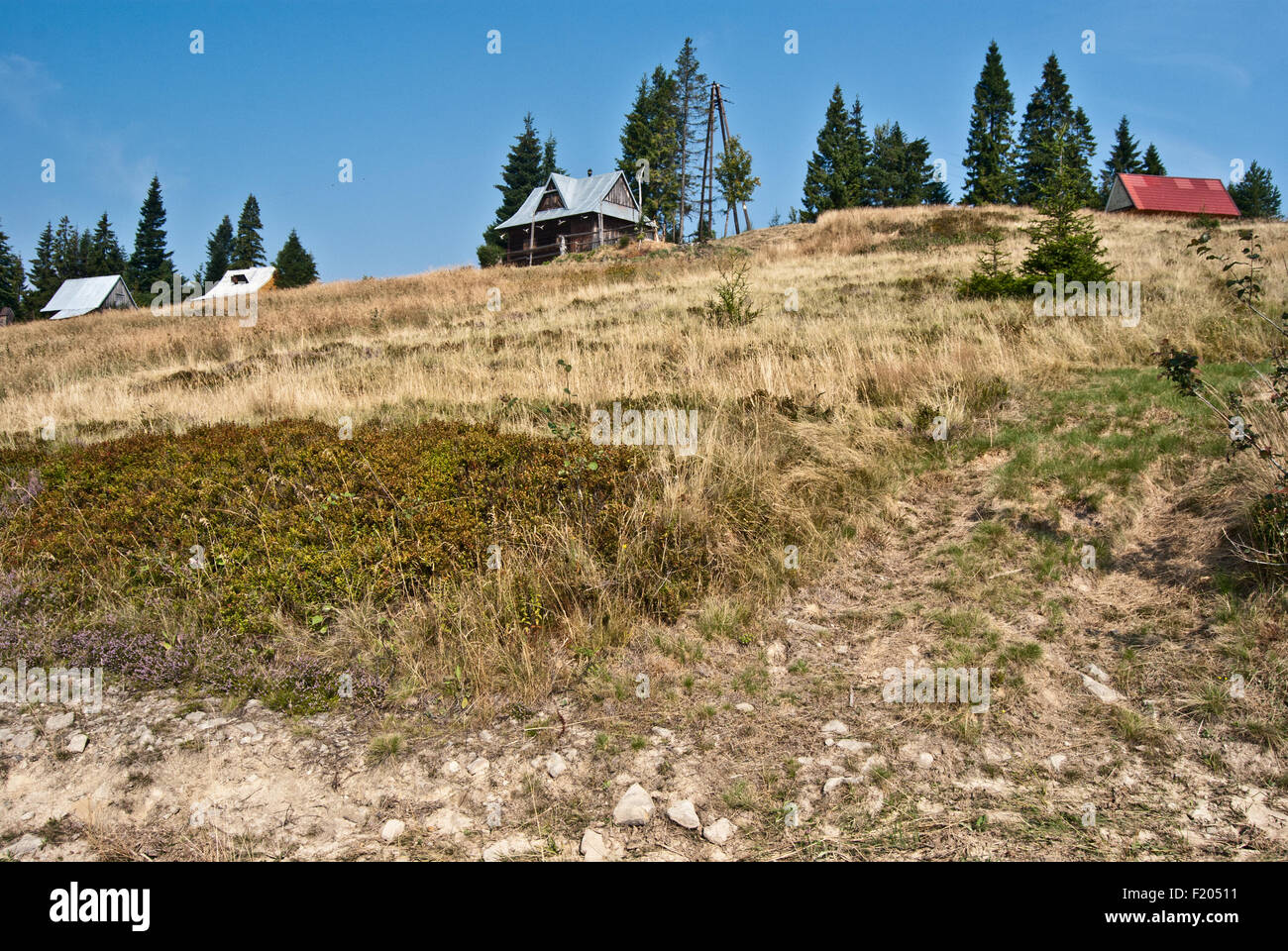 Case isolate sul prato con alberi isolati nei pressi di Bukowina Wakzmundzka hill in Gorce mountains Foto Stock