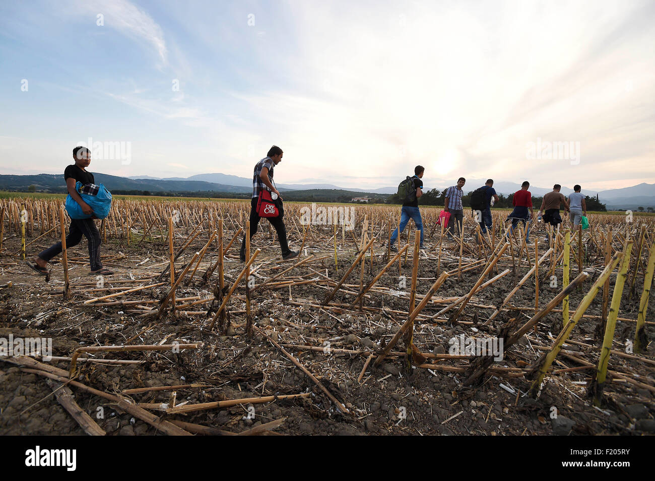 Grecia/Macedonia confine Idomeni/Gevgelija Settembre, 08 2015 - migliaia di migranti sono state versando oltre la frontiera tra la Grecia e la Macedonia come hanno fatto il loro cammino verso l' Unione europea segue una giornata di tensioni con la polizia. Sotto l'occhio vigile della polizia macedone, che attraversa il confine, diverse decine di in corrispondenza di un tempo. Credito Credito: Danilo Balducci/Sintesi/Alamy Live News Foto Stock