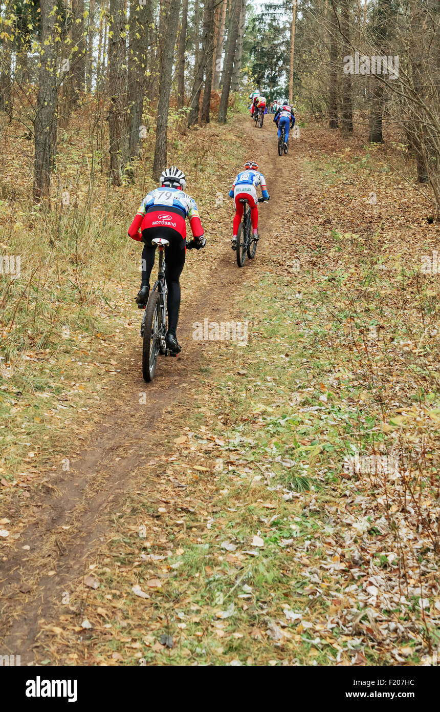 La Repubblica della Bielorussia campionato di cross-country ciclismo 19.10. 2014 - Il percorso della foresta. Gli uomini del ciclo di fase di gara. Foto Stock