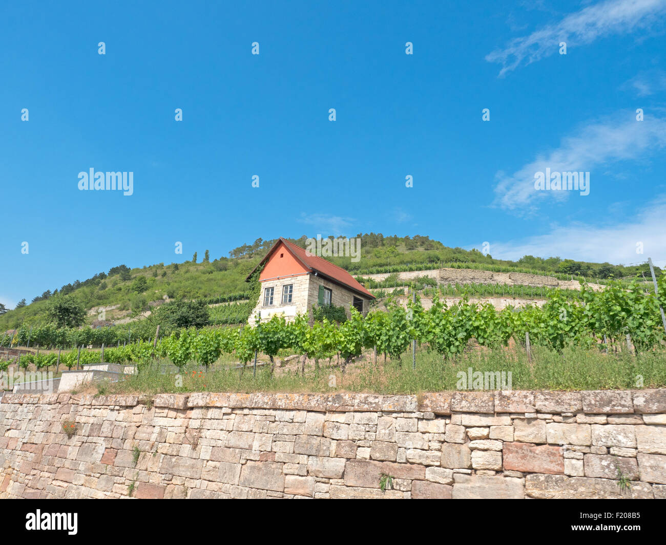 Haus in einem Weingut Foto Stock