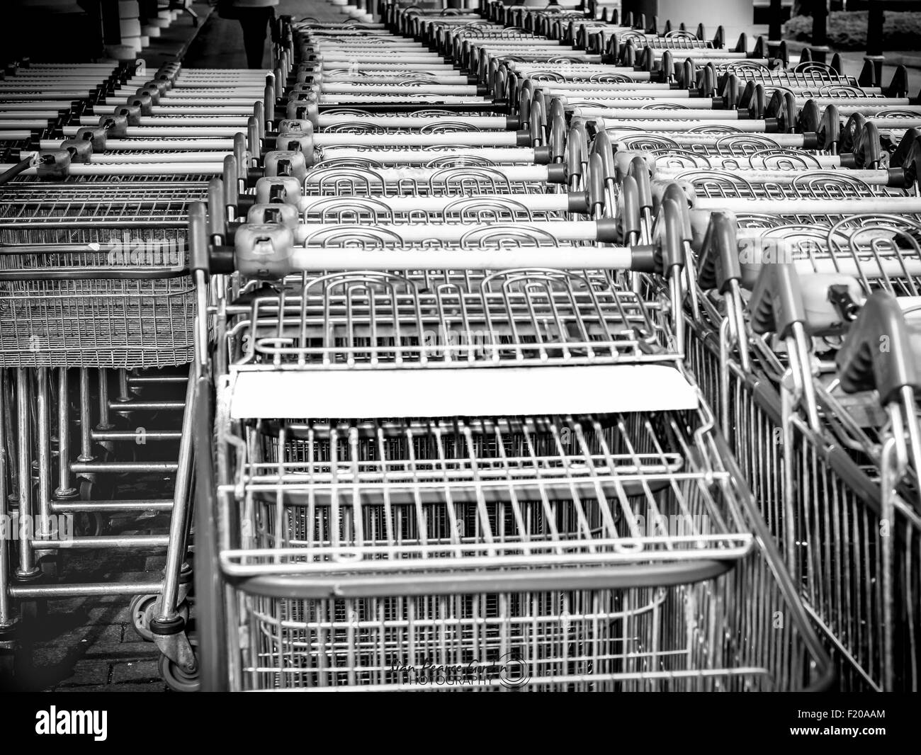 File di carrelli di shopping in bianco e nero Foto Stock