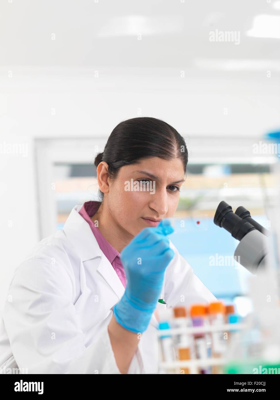 Giovane donna scienziato sangue visualizzazione diapositiva durante la sperimentazione clinica di medico di campioni in laboratorio Foto Stock