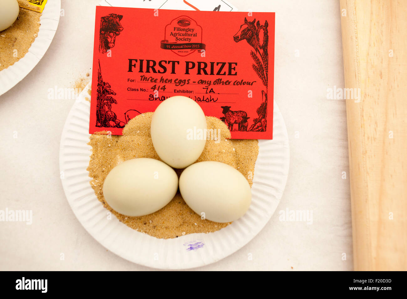 Il 91Fillongley Agricultural Show 2015. Il primo premio in 'tre uova " la concorrenza Foto Stock