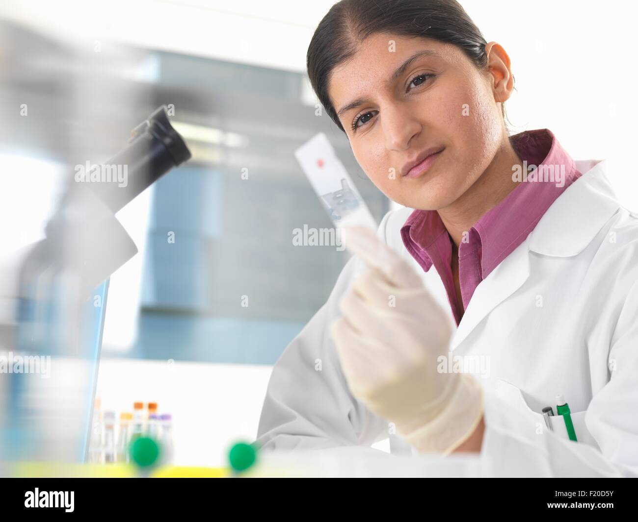 Donna scienziato in test di laboratorio a campione di sangue mediante microscopio Foto Stock