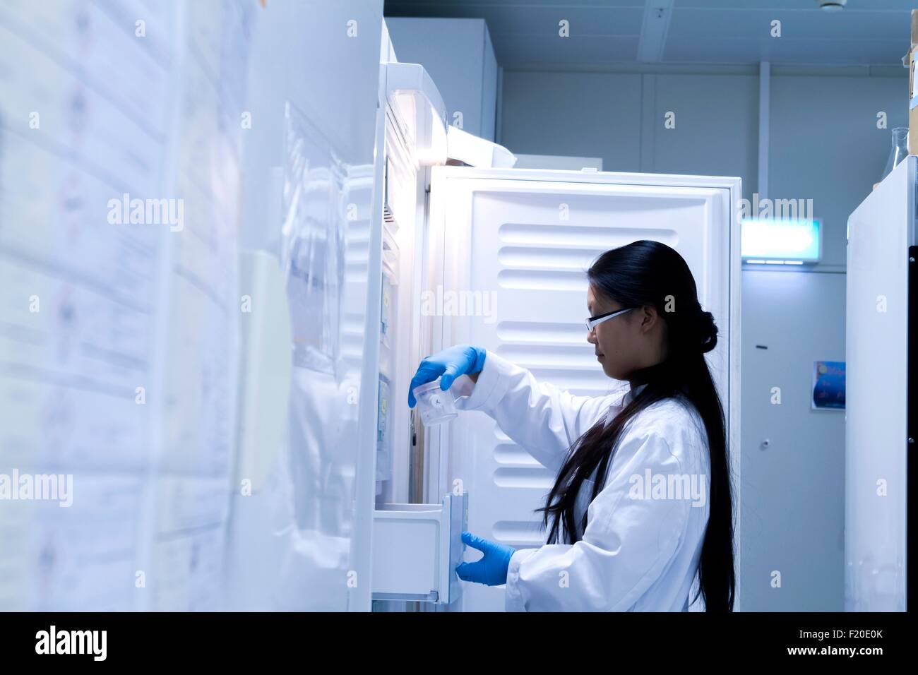 Donna scienziato selezione campione refrigerato in laboratorio Foto Stock