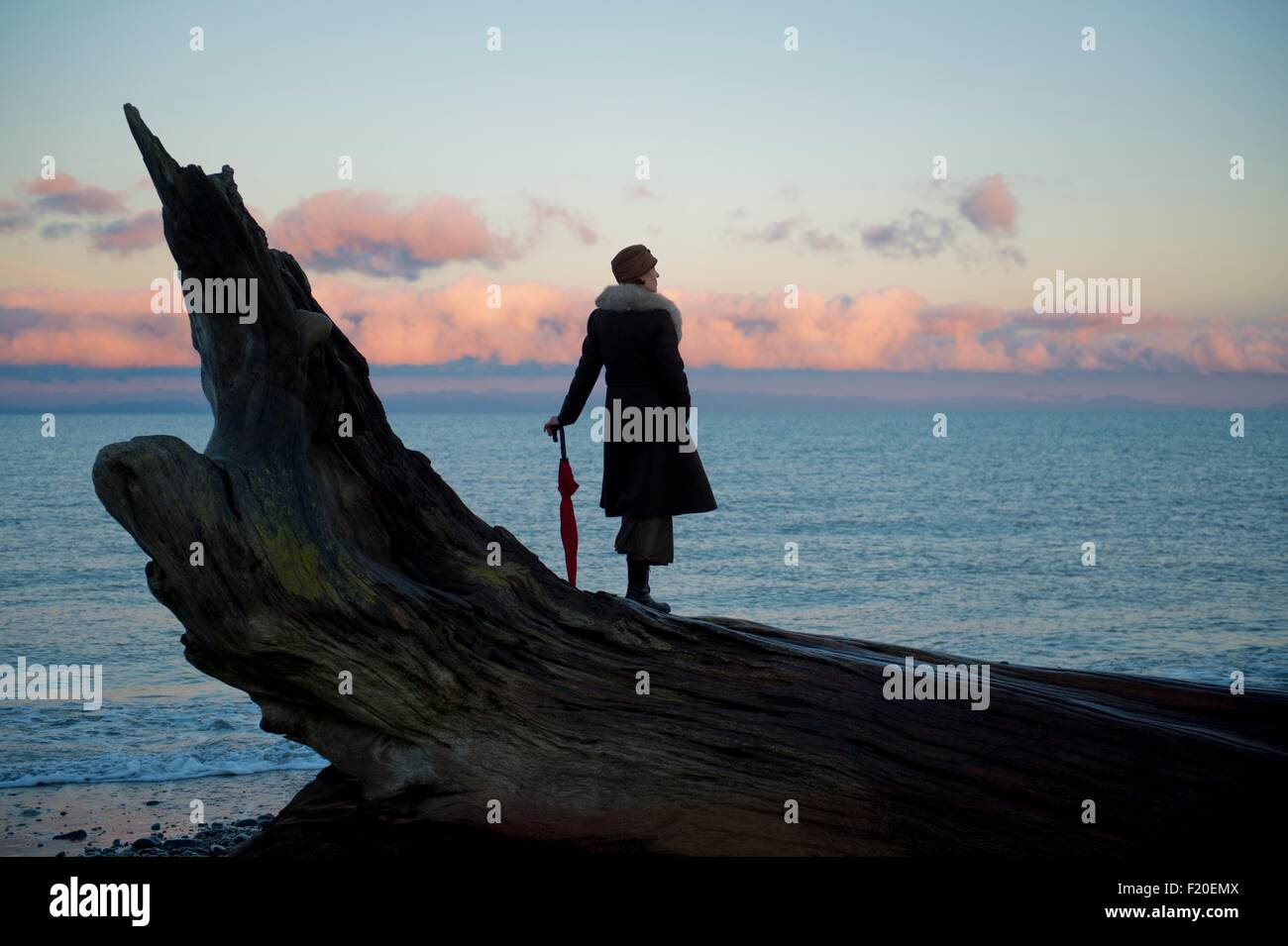 Donna appoggiandosi a ombrello permanente sulla grande driftwood tronco di albero sulla spiaggia Foto Stock