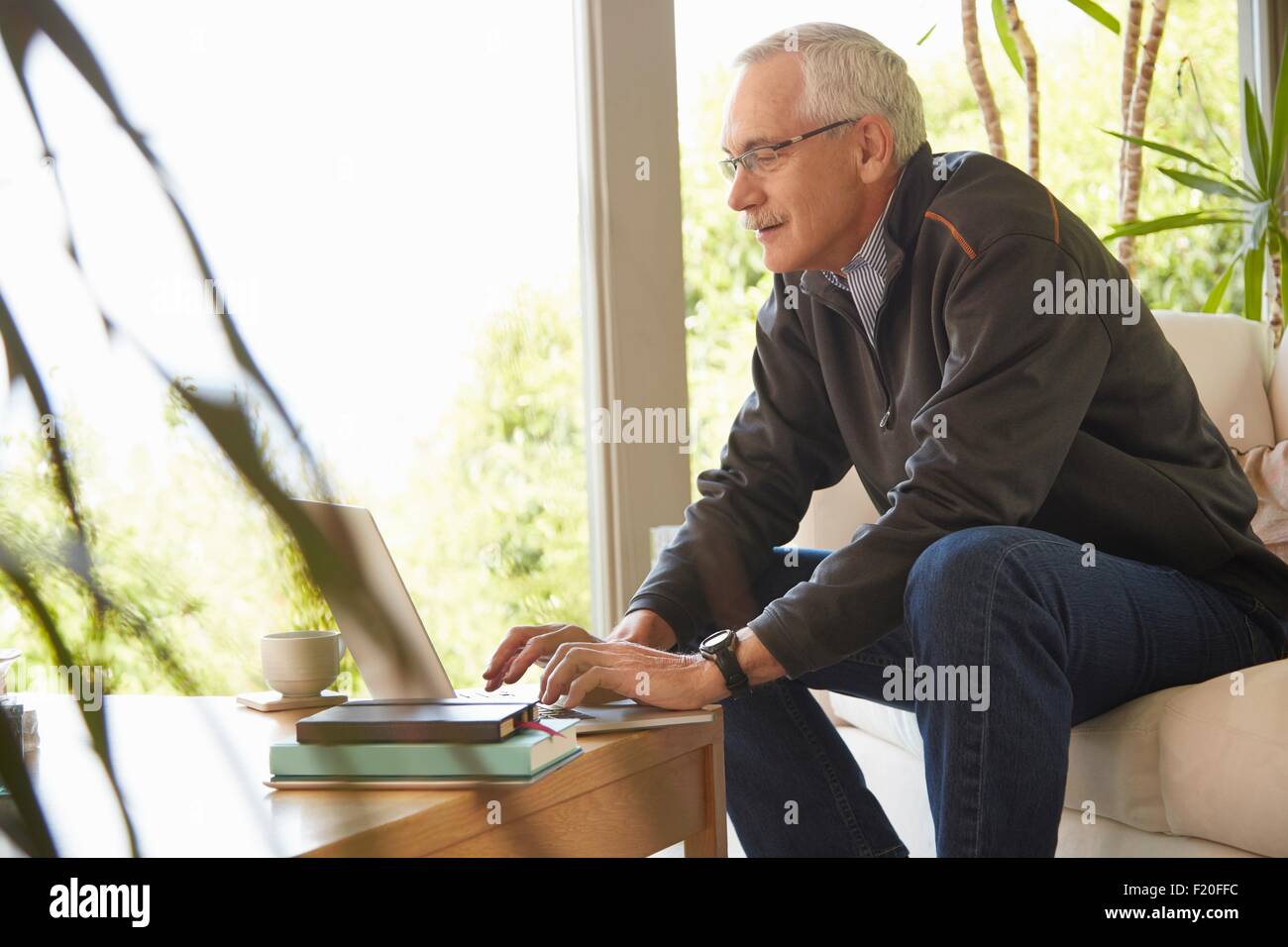 Senior uomo a casa, utilizzando laptop Foto Stock