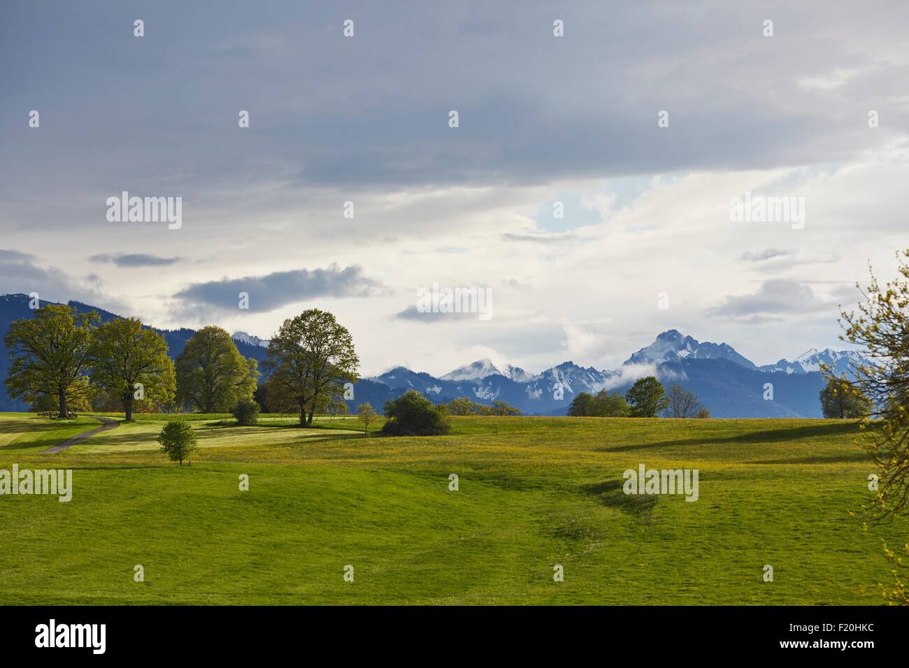 Vista del paesaggio di prati verdi e lontane montagne innevate, Uffing, Staffelsee, Baviera, Germania Foto Stock