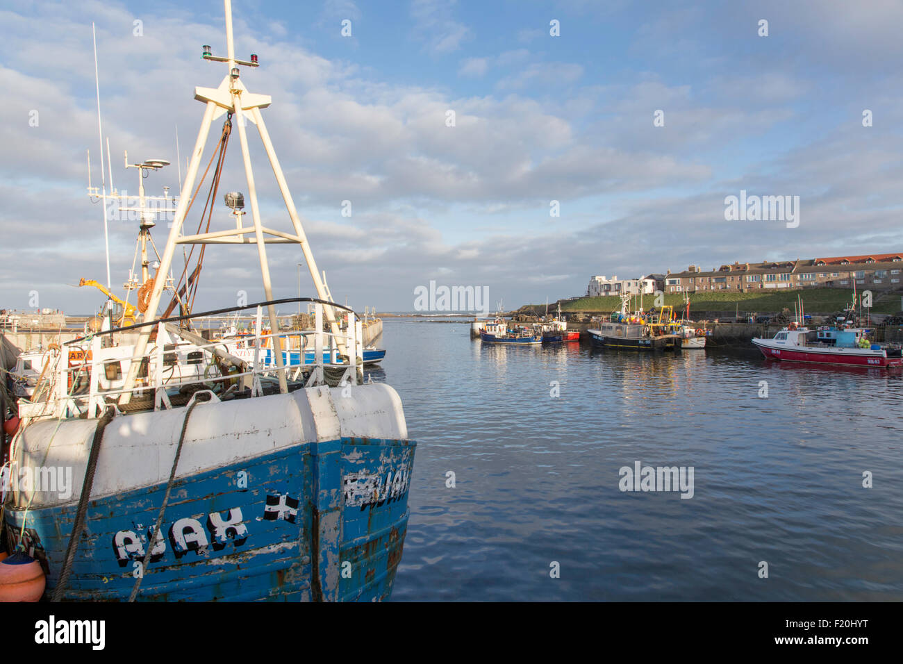 Seahouses Harbour con ormeggiate barche da pesca, Northumberland Coast, England, Regno Unito Foto Stock