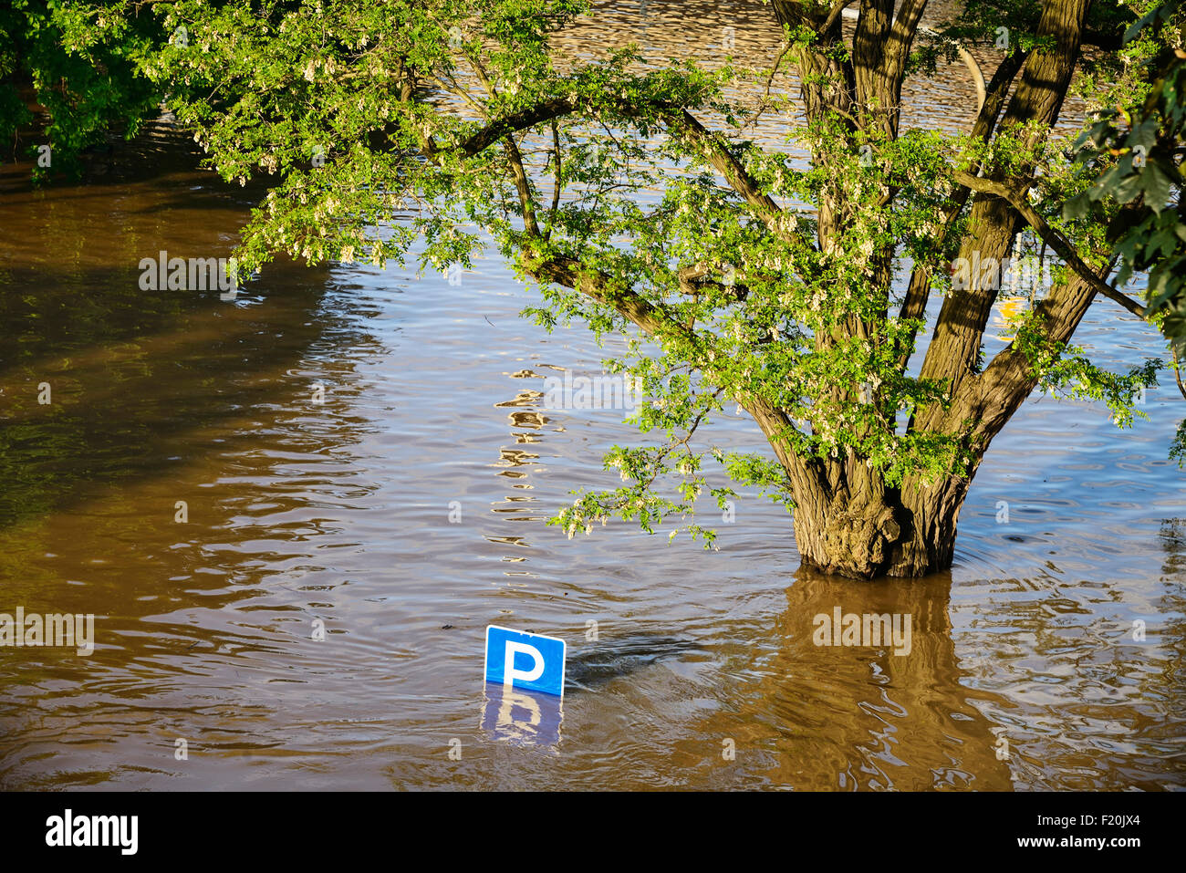 In Germania, in Sassonia, Dresda, parzialmente sommerso parcheggio auto segno come il fiume Elba inondazioni nel giugno 2013. Foto Stock