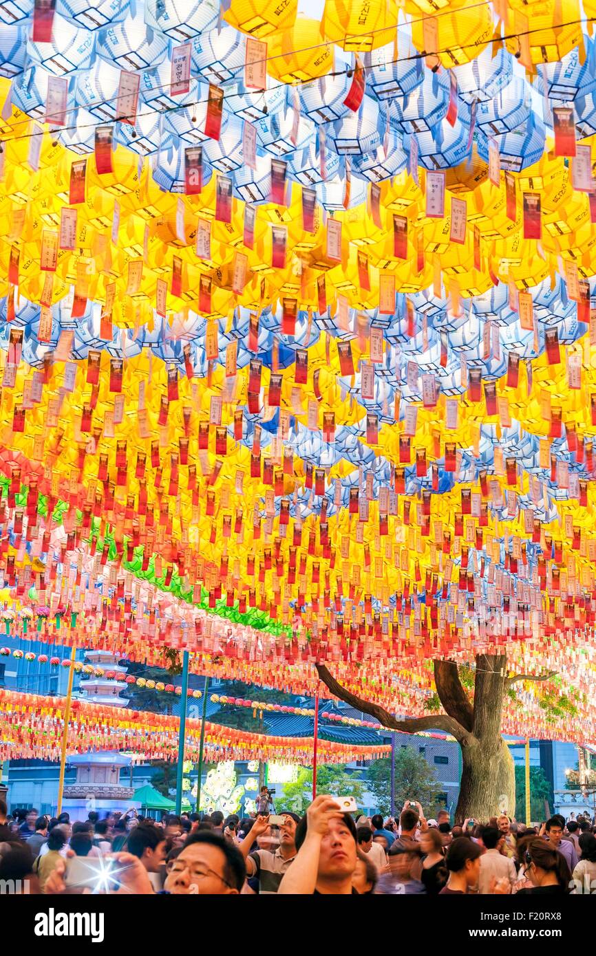 Corea del Sud, Seoul, Jongno-gu, il tempio Jogyesa (sede dell'Ordine Jogye del Buddismo Coreano) è stata fondata nel XIV secolo, pino Napoleone 500 anni con lanterne per la Lotus Lantern Festival che celebra la nascita di Buddha Foto Stock