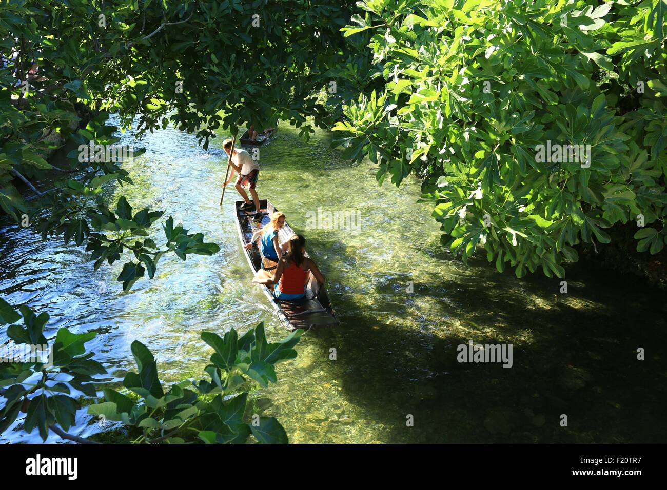 Francia, Vaucluse, L'Isle sur la Sorgue, Nego Chin, barca tradizionale su La Sorgue Foto Stock