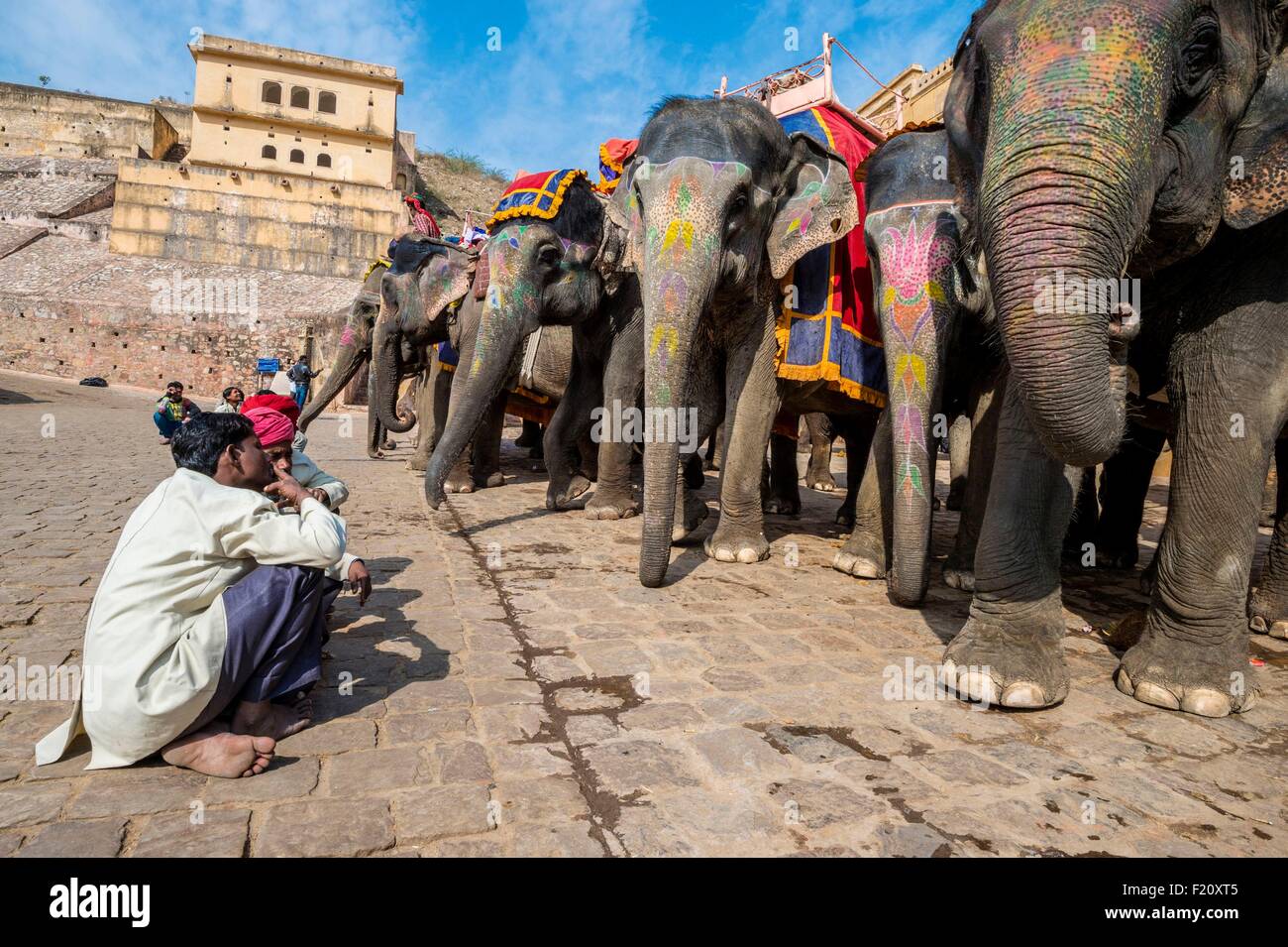 India Rajasthan, hill fort del Rajasthan elencati come patrimonio mondiale dall' UNESCO, Jaipur, elefanti per i turisti al Forte Amber Foto Stock