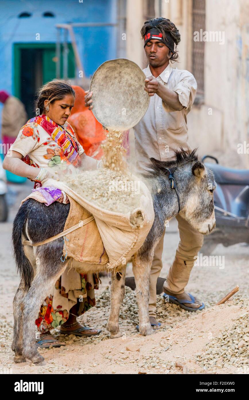 India Rajasthan, Jodhpur, intoccabili lavorando sulle strade Foto Stock