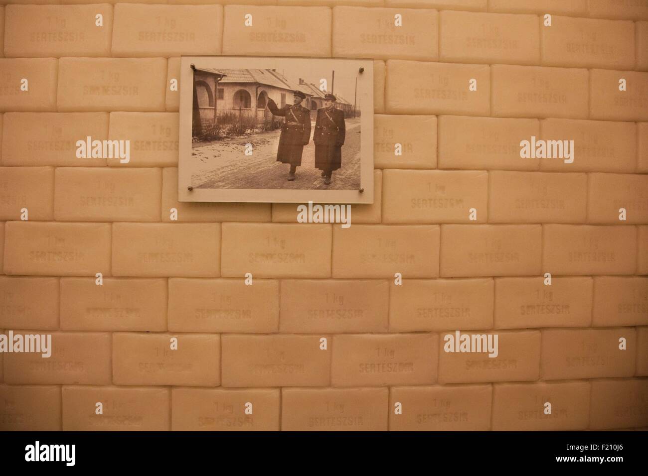 Ungheria, Budapest, elencato come patrimonio mondiale dall'UNESCO, la Casa del Terrore Museum, una parete costruita con mattoni fatti di sapone fatto con gli ebrei " organismi Foto Stock