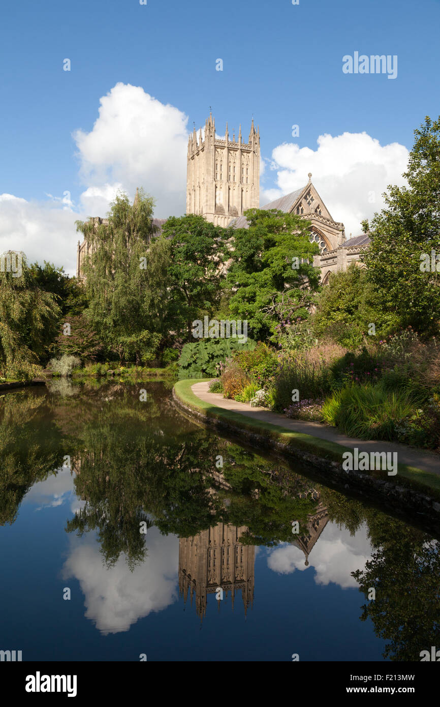 Cattedrale di Wells vista osservata dal pozzetto per piscine di vescovi nei giardini del palazzo, pozzi, Somerset England Regno Unito Foto Stock Cattedrale di Wells vista osservata dal pozzetto per piscine di vescovi nei giardini del palazzo, pozzi, Somerset England Regno Unito Foto Stock